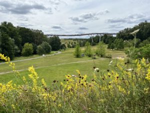 Neue Landschaft Ronneburg